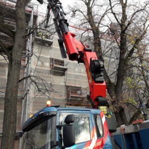 20er - KRAN NUSSBAUMER