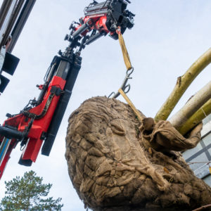 Kran in Basel - 18to. // Nussbaumer