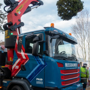 Baüm mit Kran gesetzt // Nussbaumer